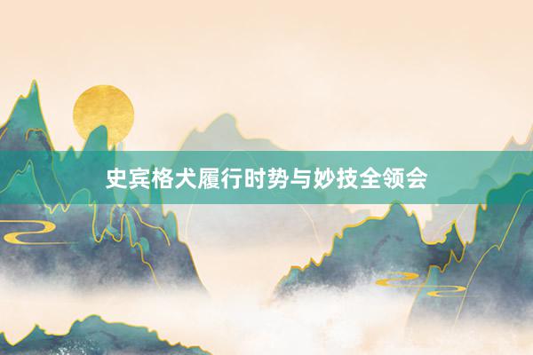 史宾格犬履行时势与妙技全领会